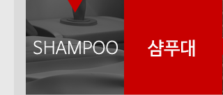 샴푸대